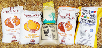 chicken and poultry supplies